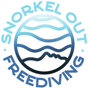 Colored logo of snorkeloutfreeding school.