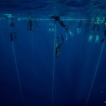 A freediver starting his constant weight dive in Blue Hole, Dahab.
