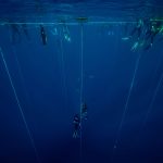 A freediver coming back from his constant weight dive in Blue Hole, Dahab.